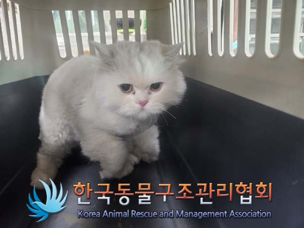 페르시안 이미지 파일 입니다.