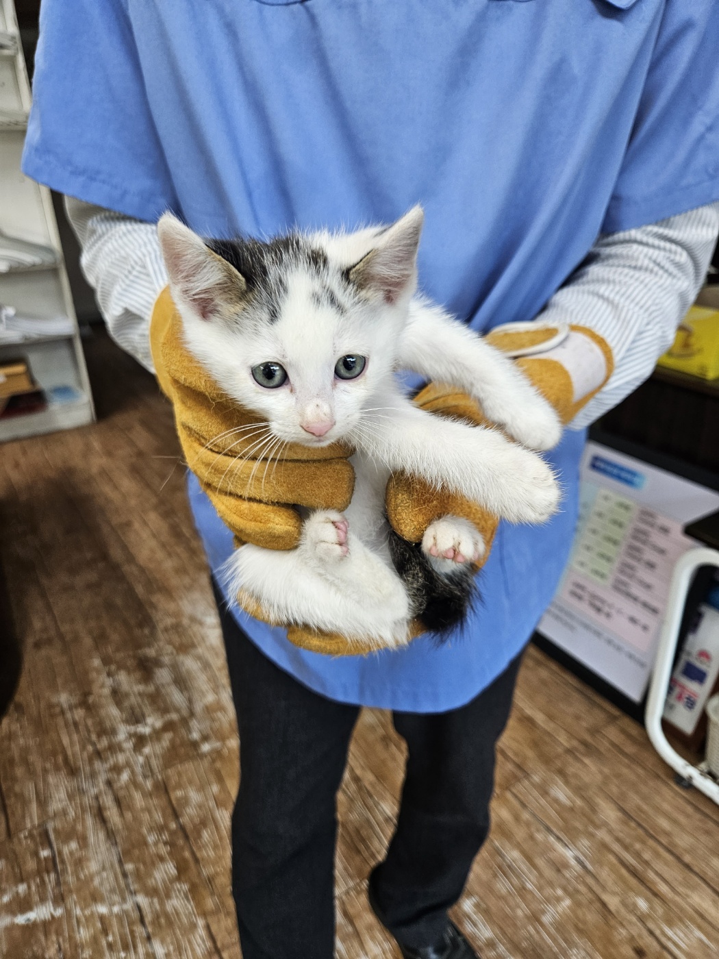 믹스묘 이미지 파일 입니다.