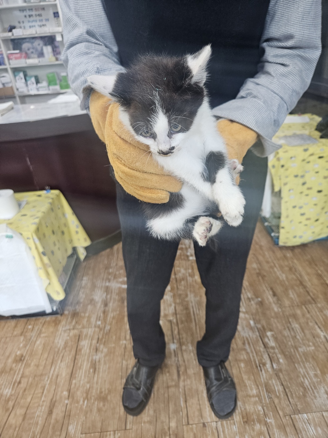 믹스묘 이미지 파일 입니다.