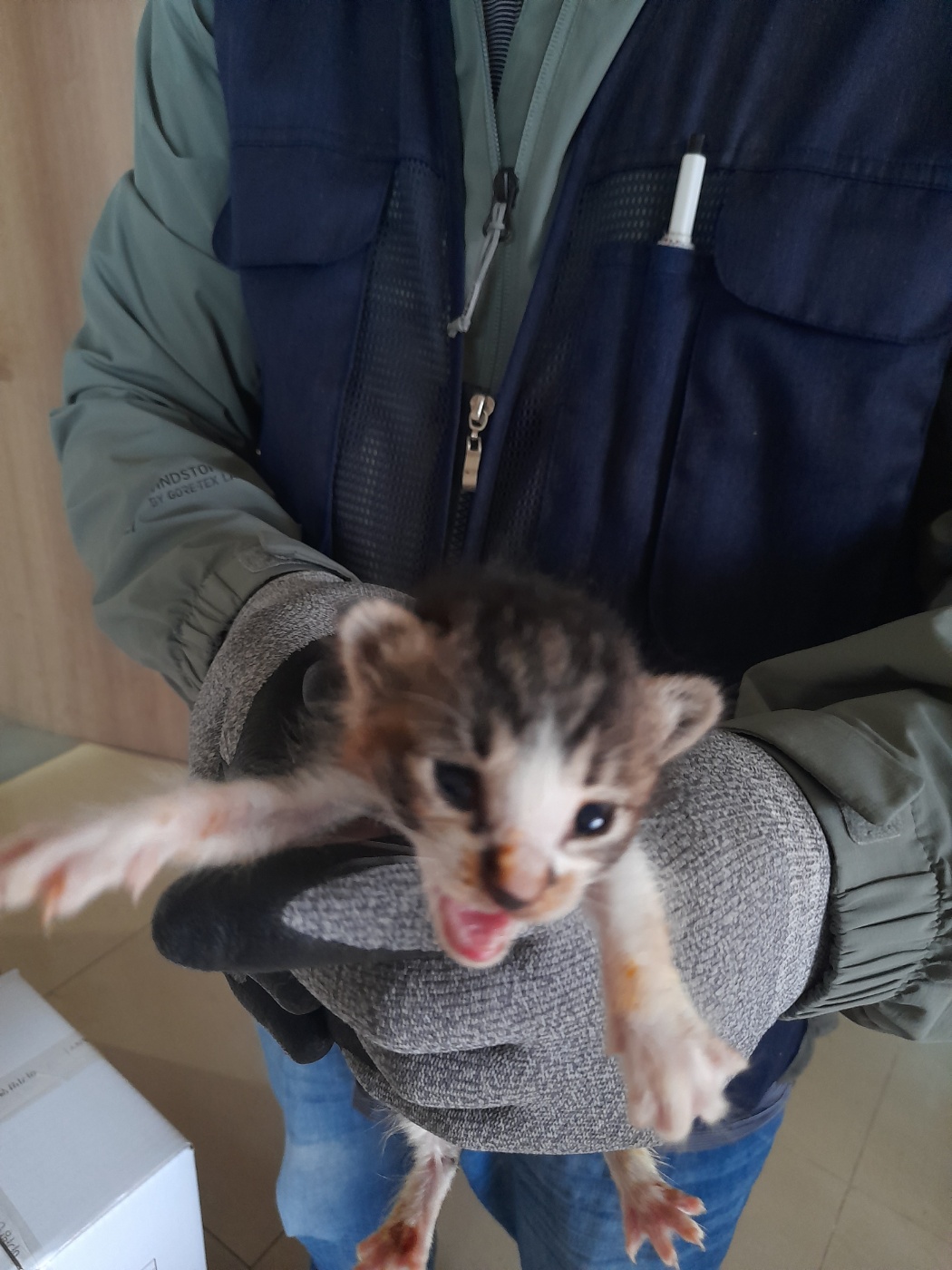 믹스묘 이미지 파일 입니다.