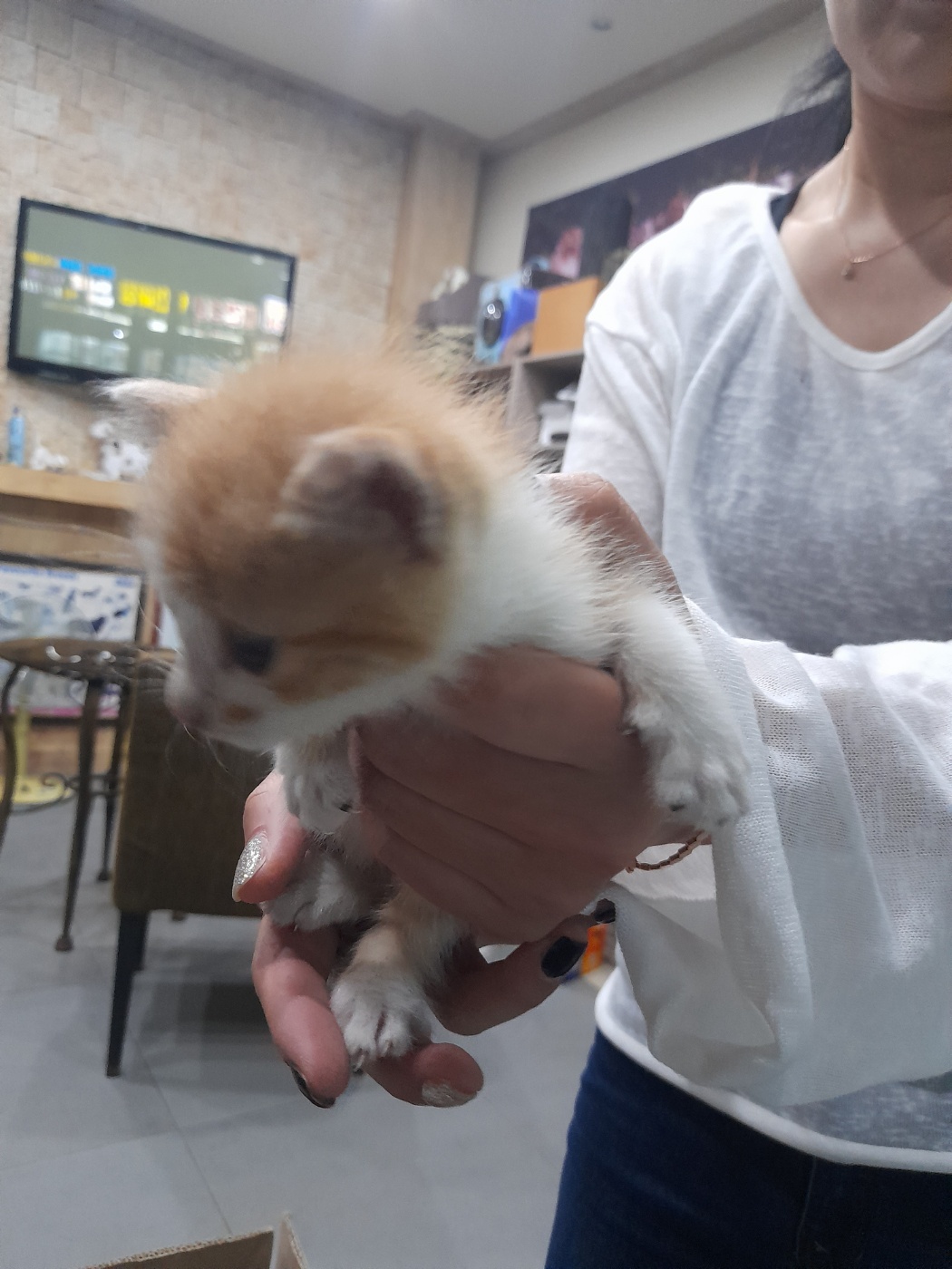 믹스묘 이미지 파일 입니다.