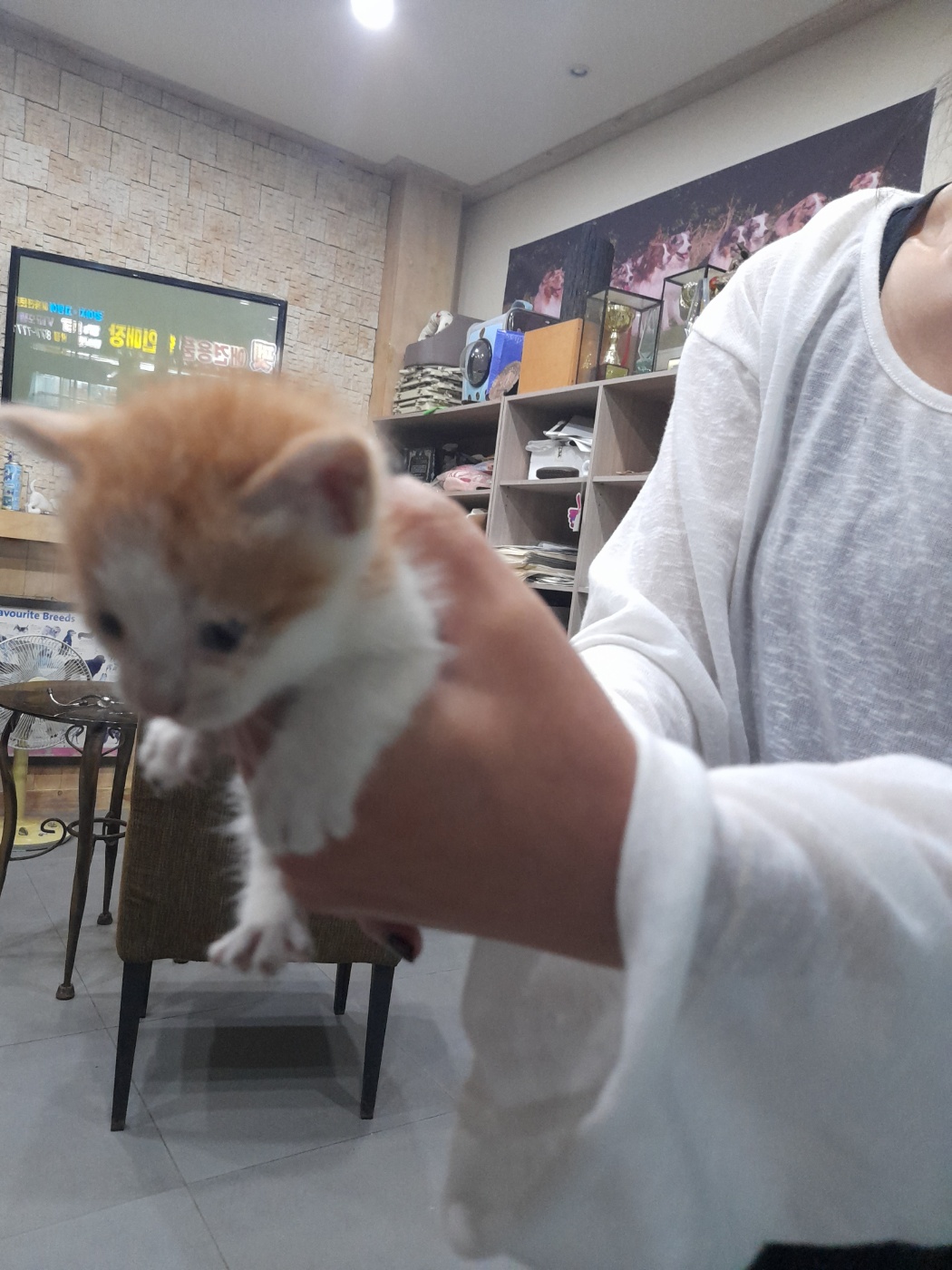 믹스묘 이미지 파일 입니다.