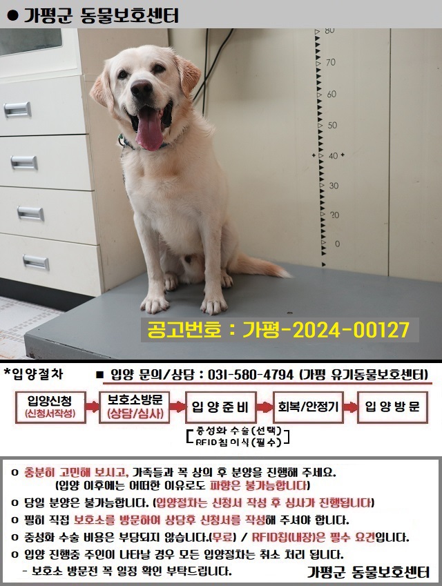 라브라도 리트리버 이미지 파일 입니다.