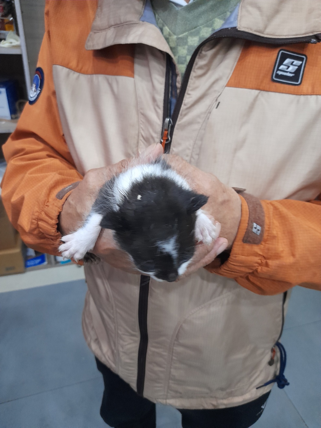 믹스묘 이미지 파일 입니다.