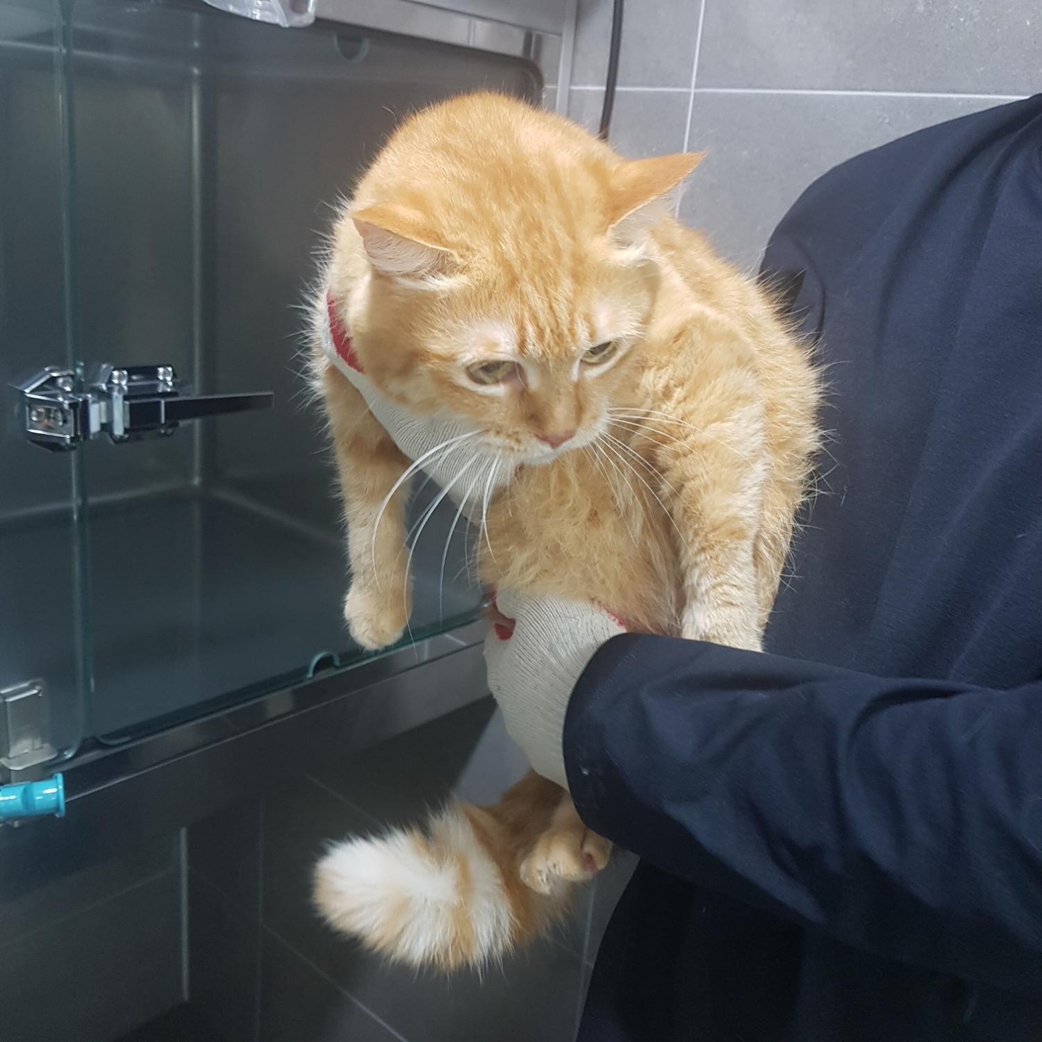 믹스묘 이미지 파일 입니다.
