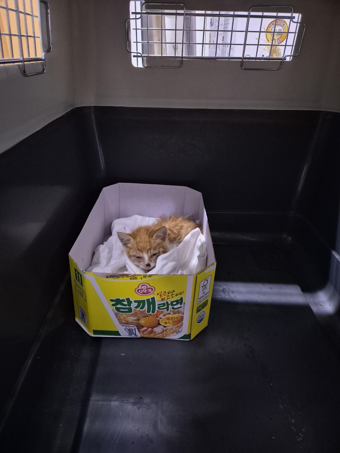 믹스묘 이미지 파일 입니다.