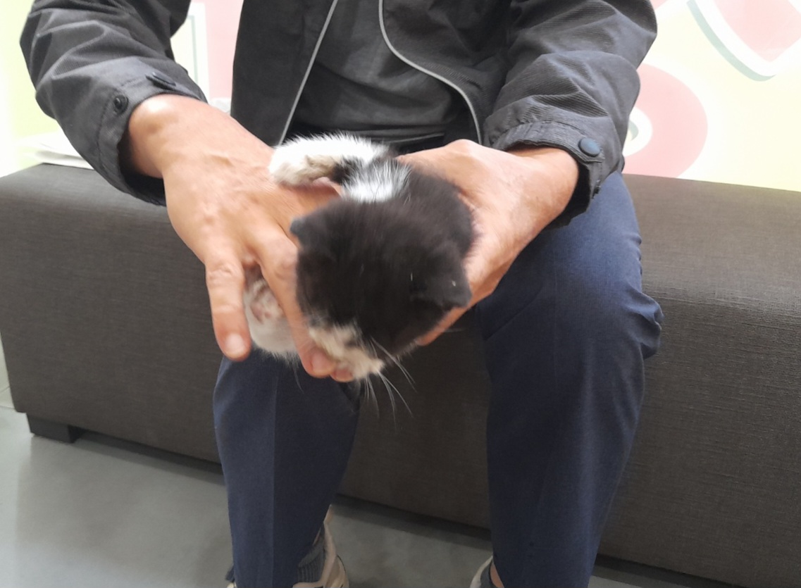 믹스묘 이미지 파일 입니다.