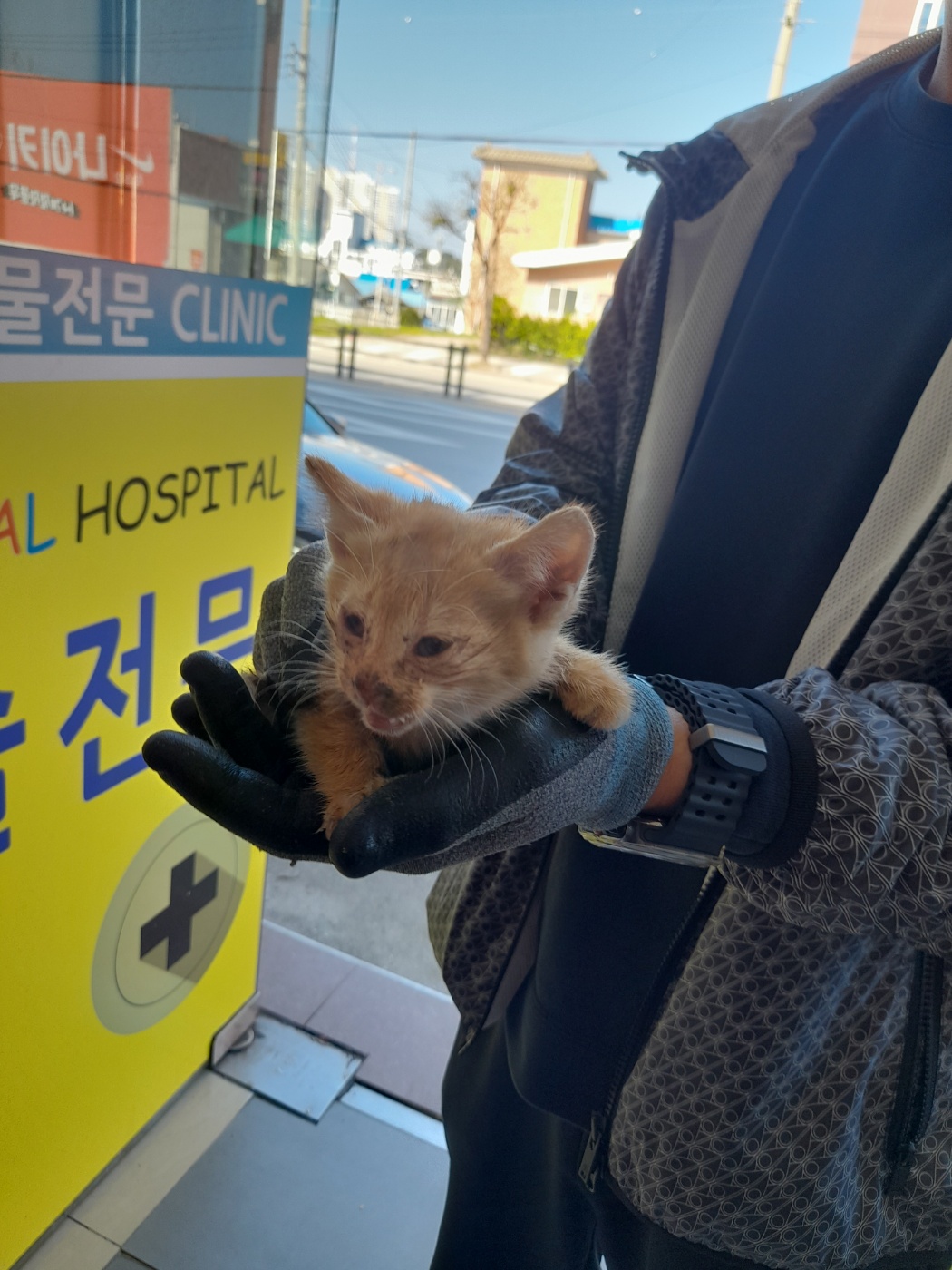 믹스묘 이미지 파일 입니다.