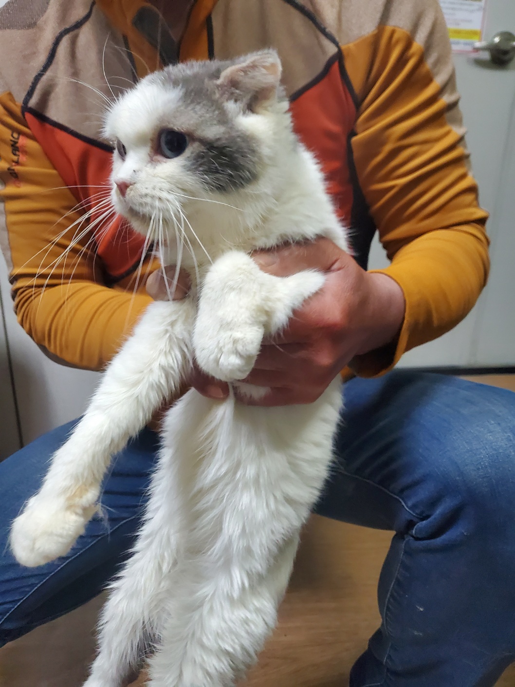 먼치킨 이미지 파일 입니다.