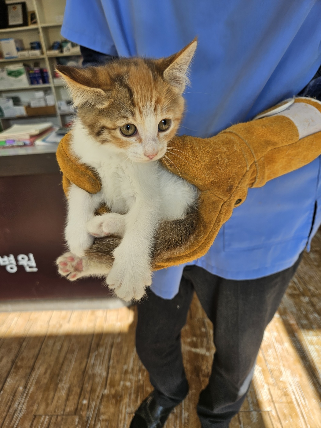 믹스묘 이미지 파일 입니다.