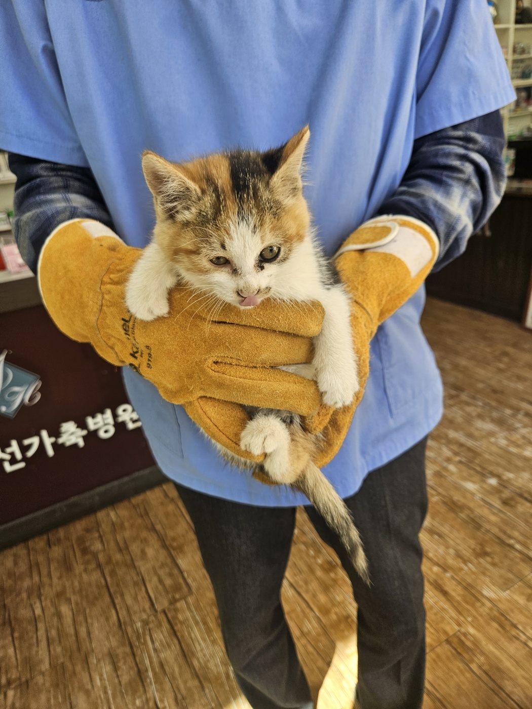 믹스묘 이미지 파일 입니다.