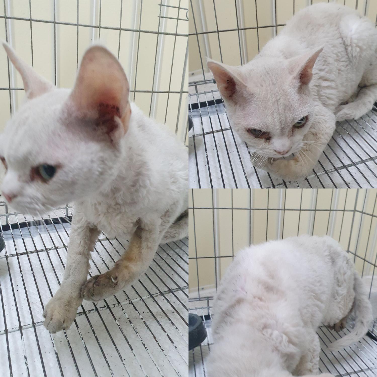 믹스묘 이미지 파일 입니다.