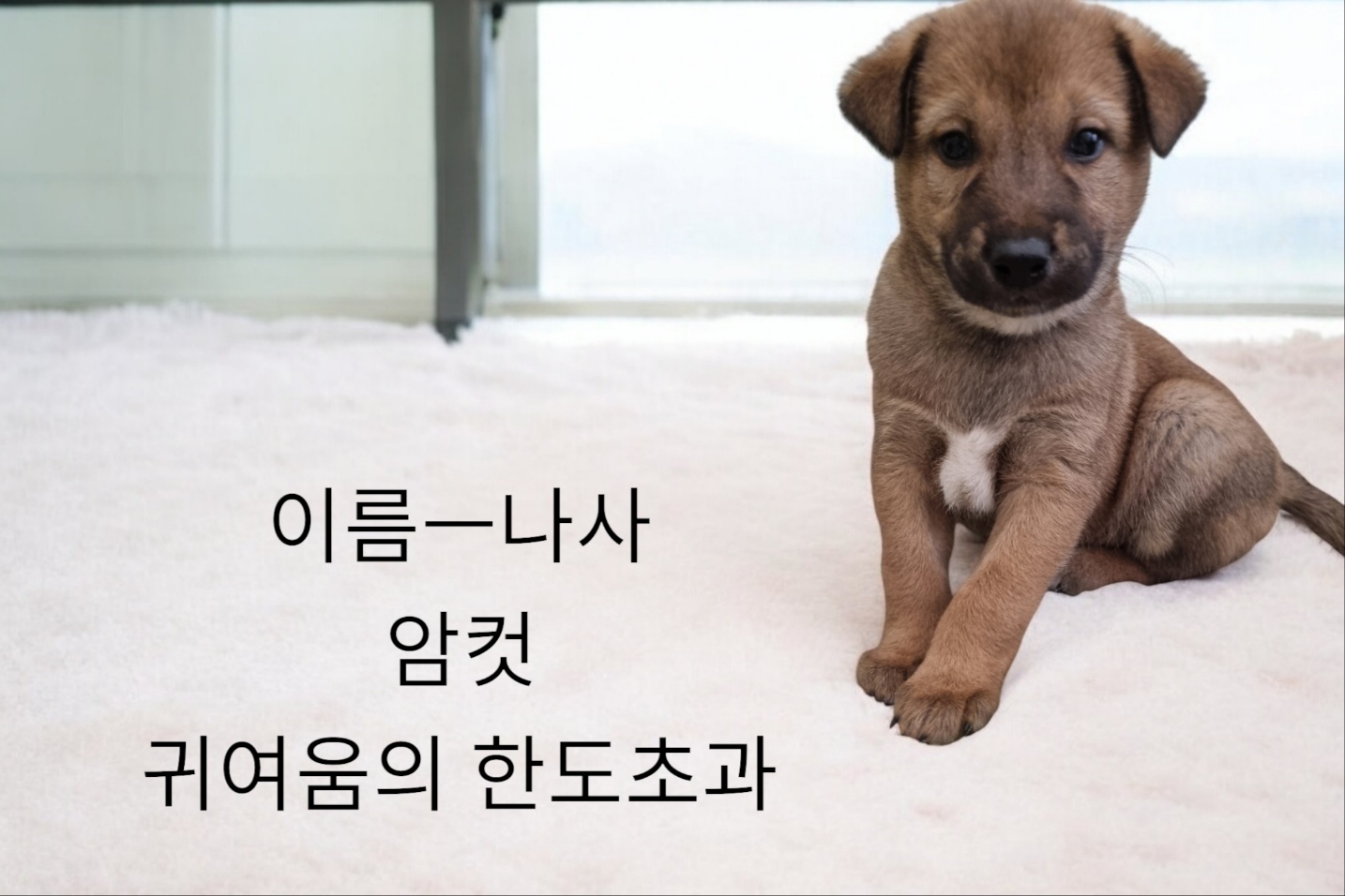 진도믹스 이미지 파일 입니다.