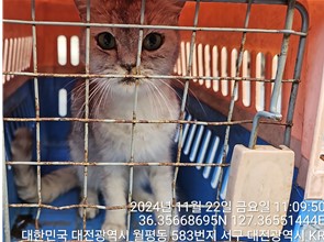 믹스묘 이미지 파일 입니다.