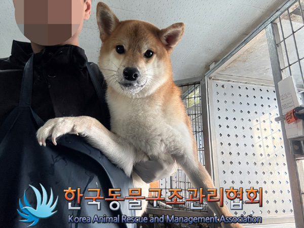시바 이미지 파일 입니다.