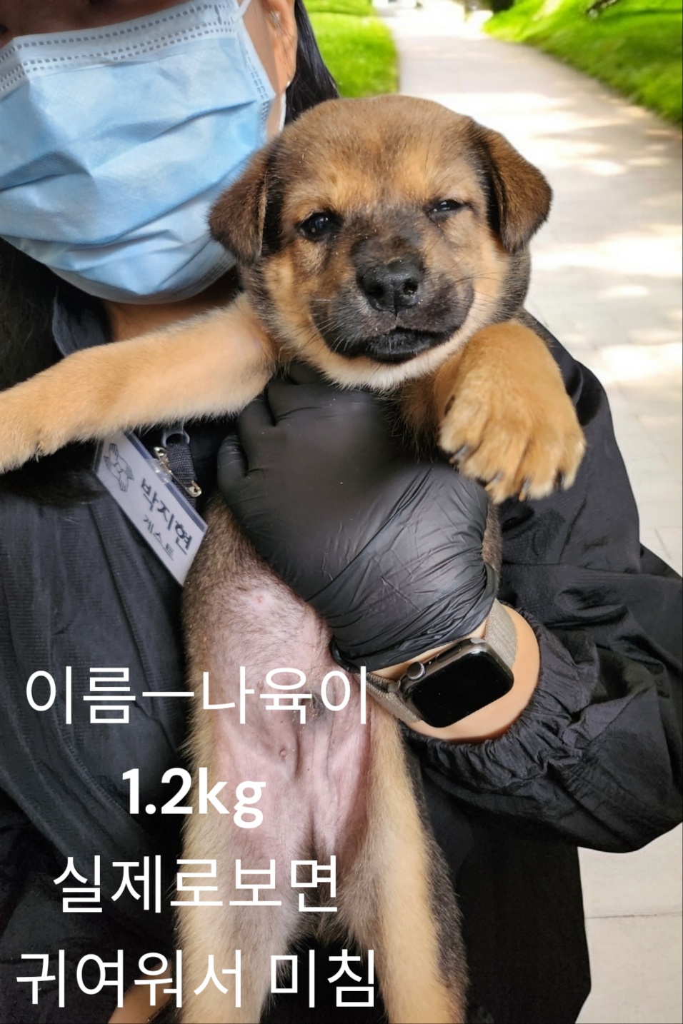 진도믹스 이미지 파일 입니다.