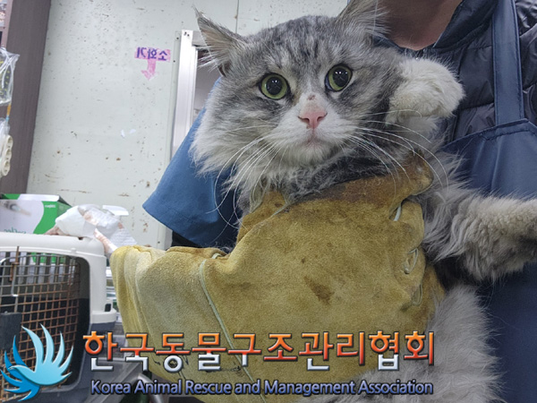 페르시안 이미지 파일 입니다.