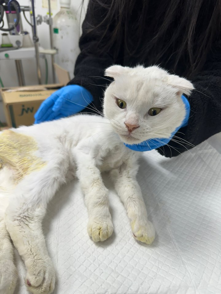 믹스묘 이미지 파일 입니다.
