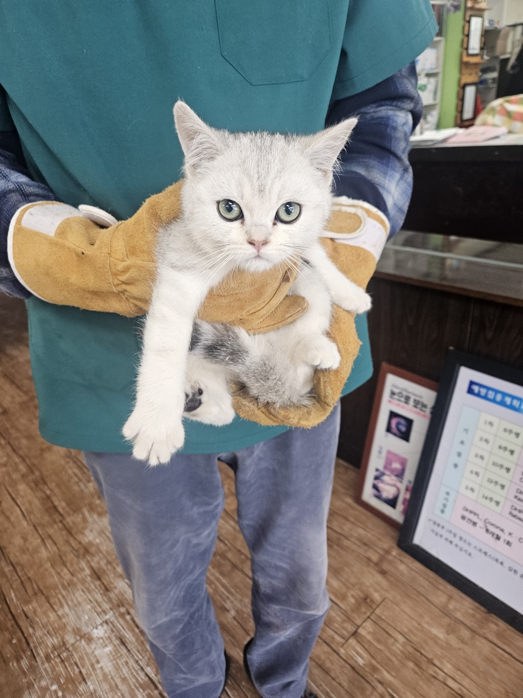 믹스묘 이미지 파일 입니다.