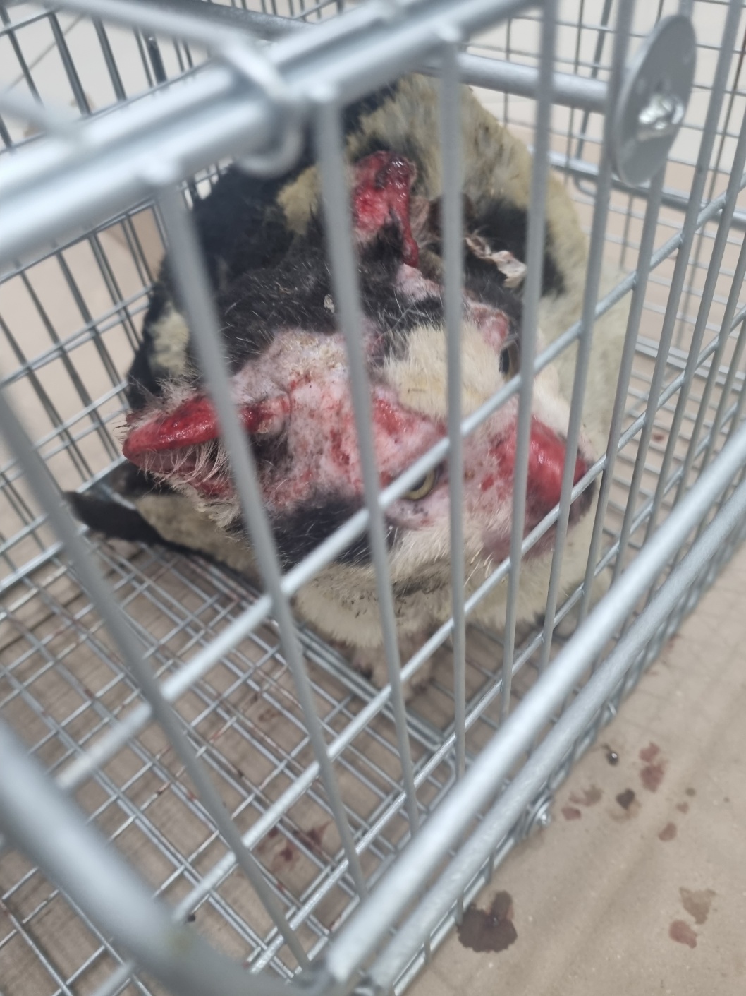믹스묘 이미지 파일 입니다.