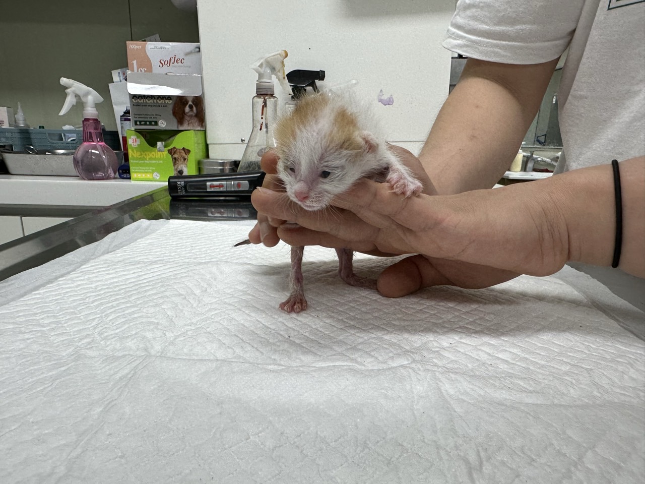 믹스묘 이미지 파일 입니다.