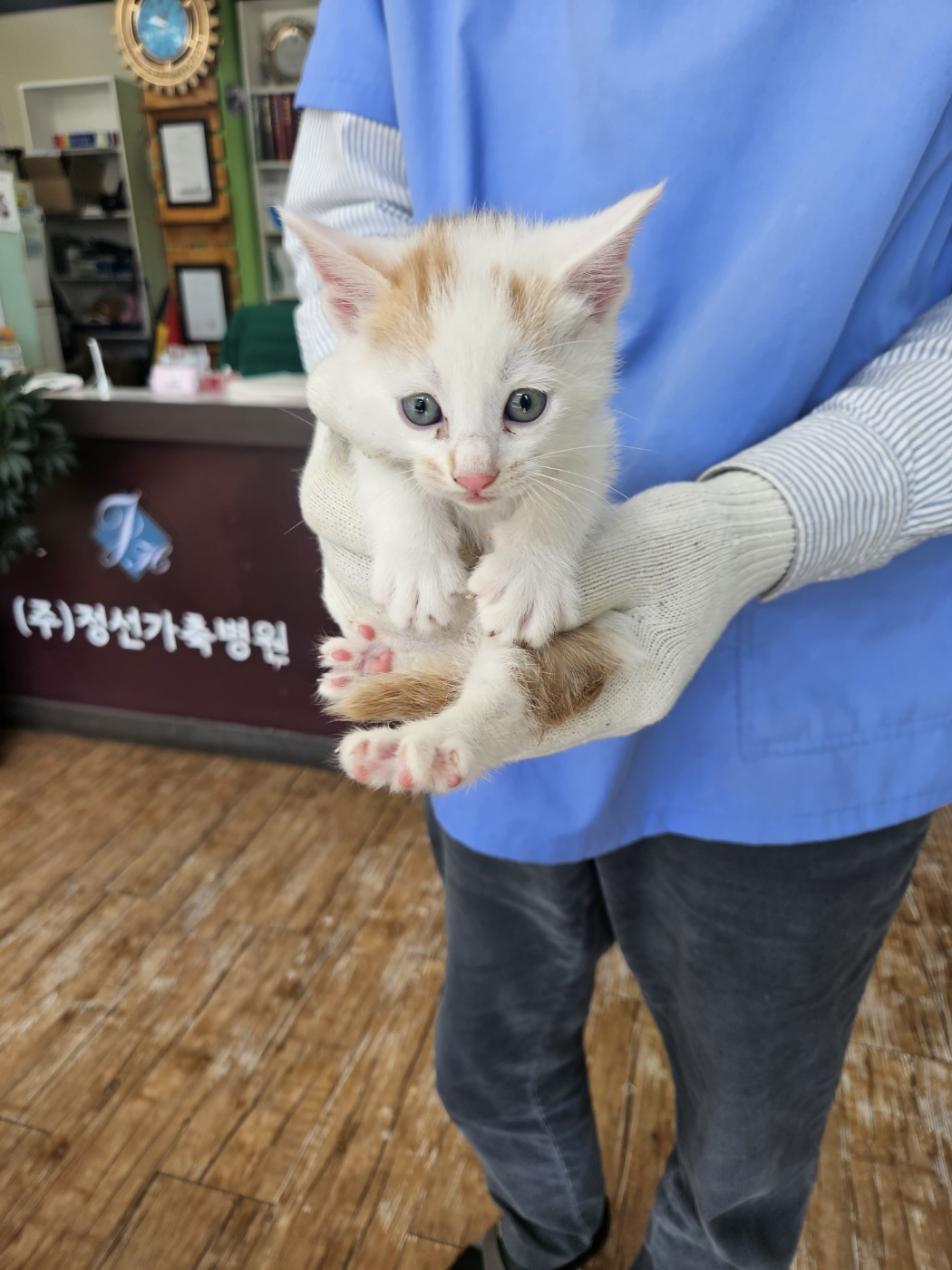 믹스묘 이미지 파일 입니다.