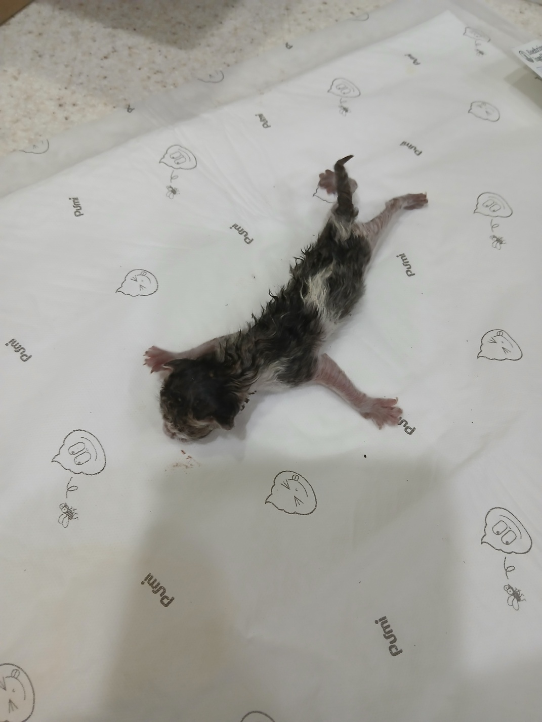 믹스묘 이미지 파일 입니다.