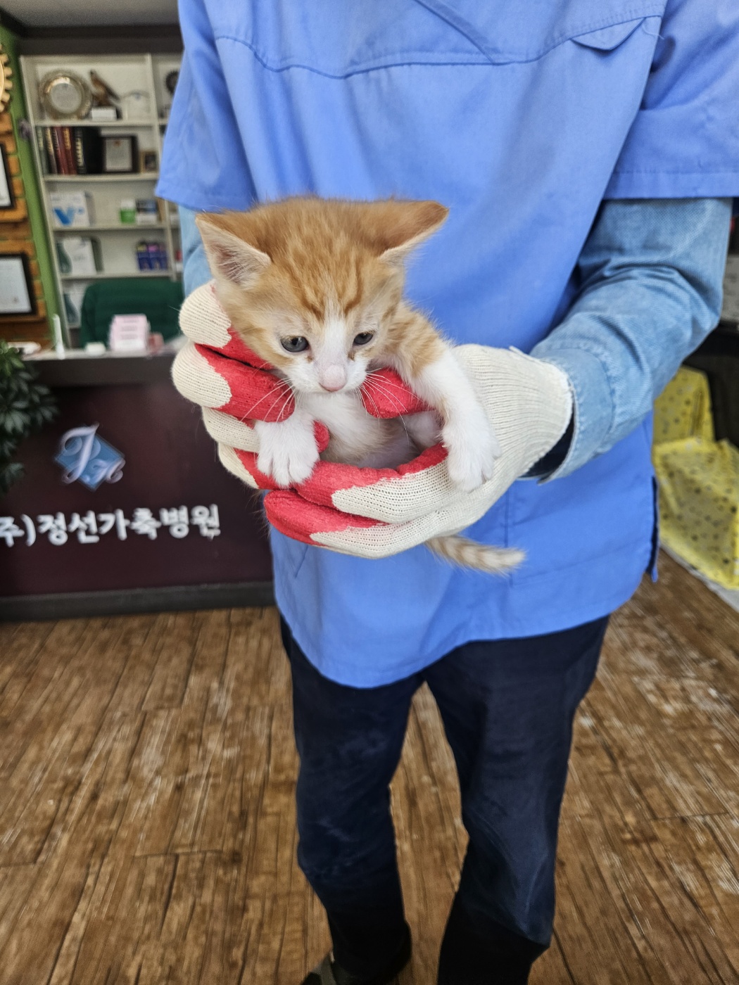 믹스묘 이미지 파일 입니다.