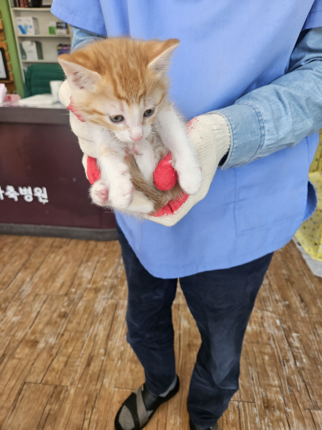 믹스묘 이미지 파일 입니다.