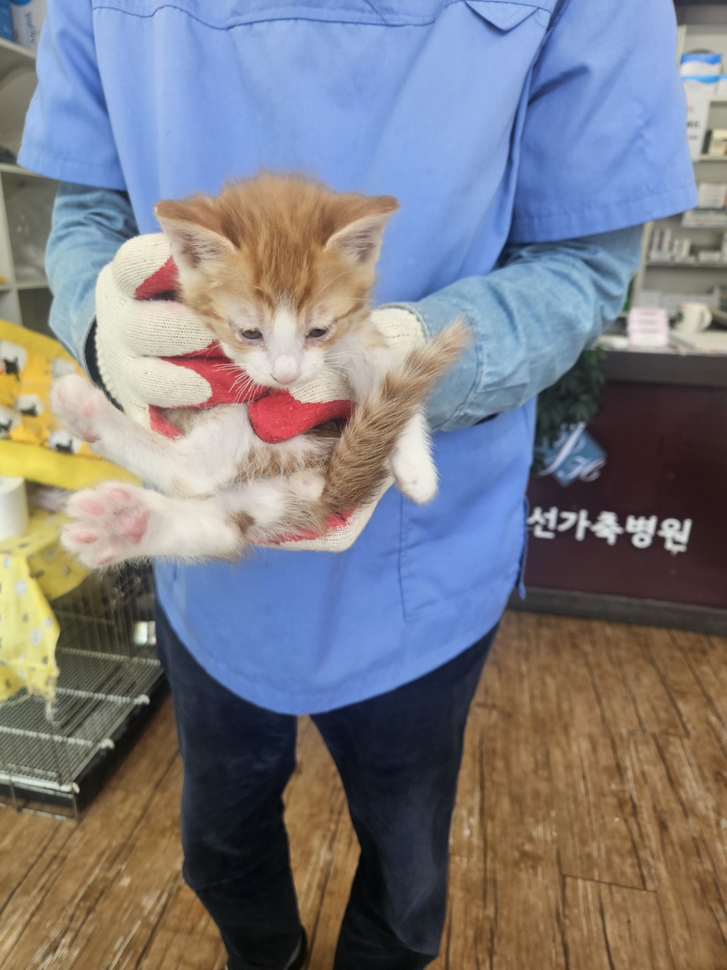 믹스묘 이미지 파일 입니다.