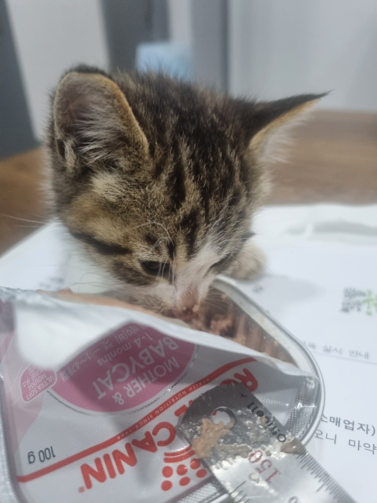 믹스묘 이미지 파일 입니다.