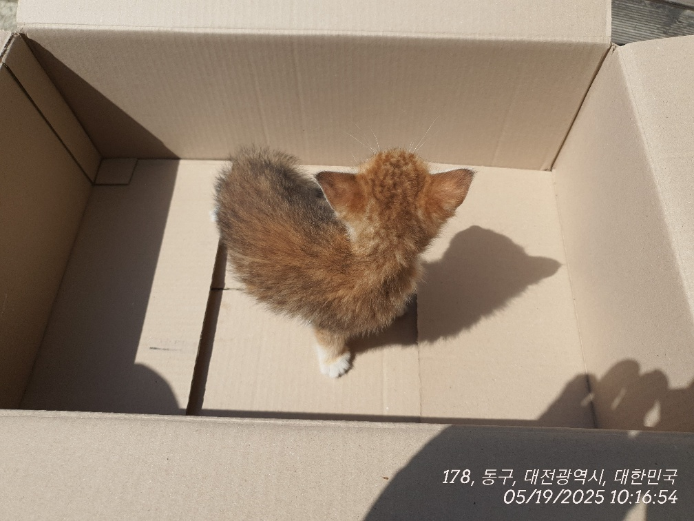 코숏 이미지 파일 입니다.