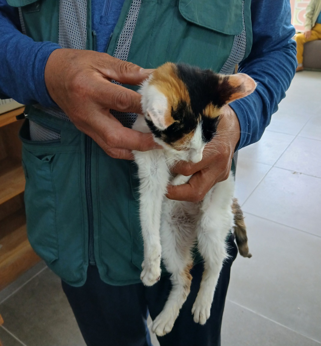 믹스묘 이미지 파일 입니다.