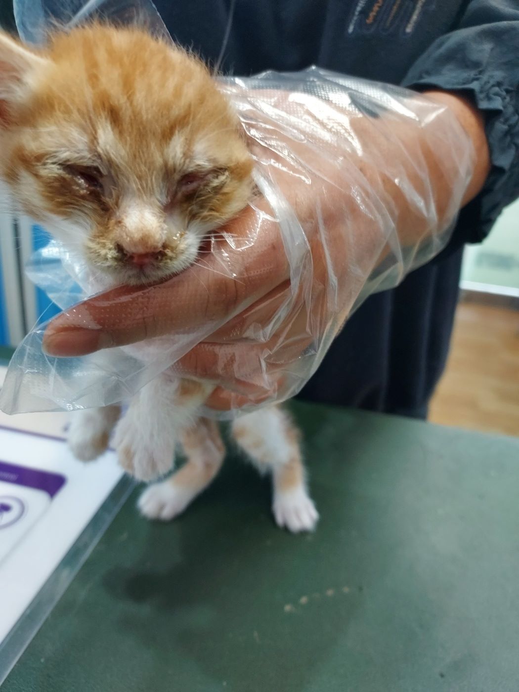 믹스묘 이미지 파일 입니다.