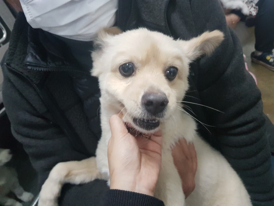 전북 전주 화산체육관에서 스피츠 믹스 구조