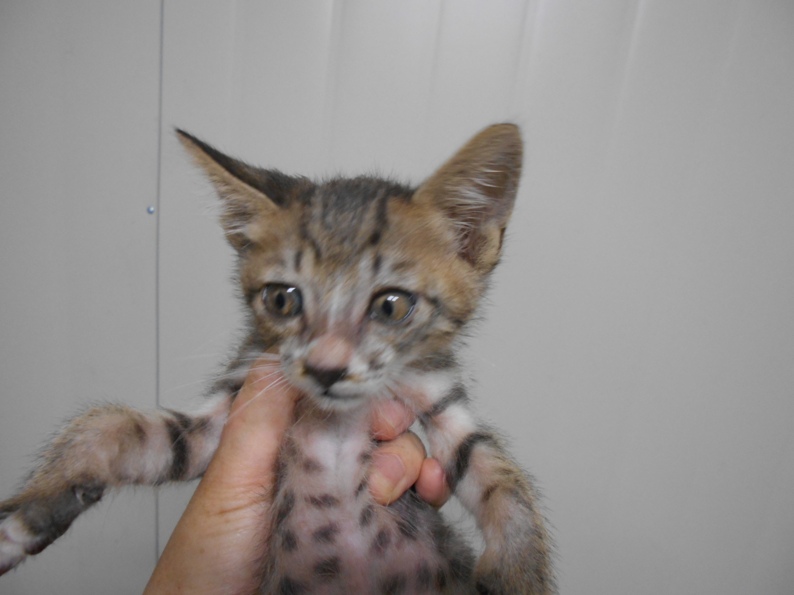 202008261308879.jpg