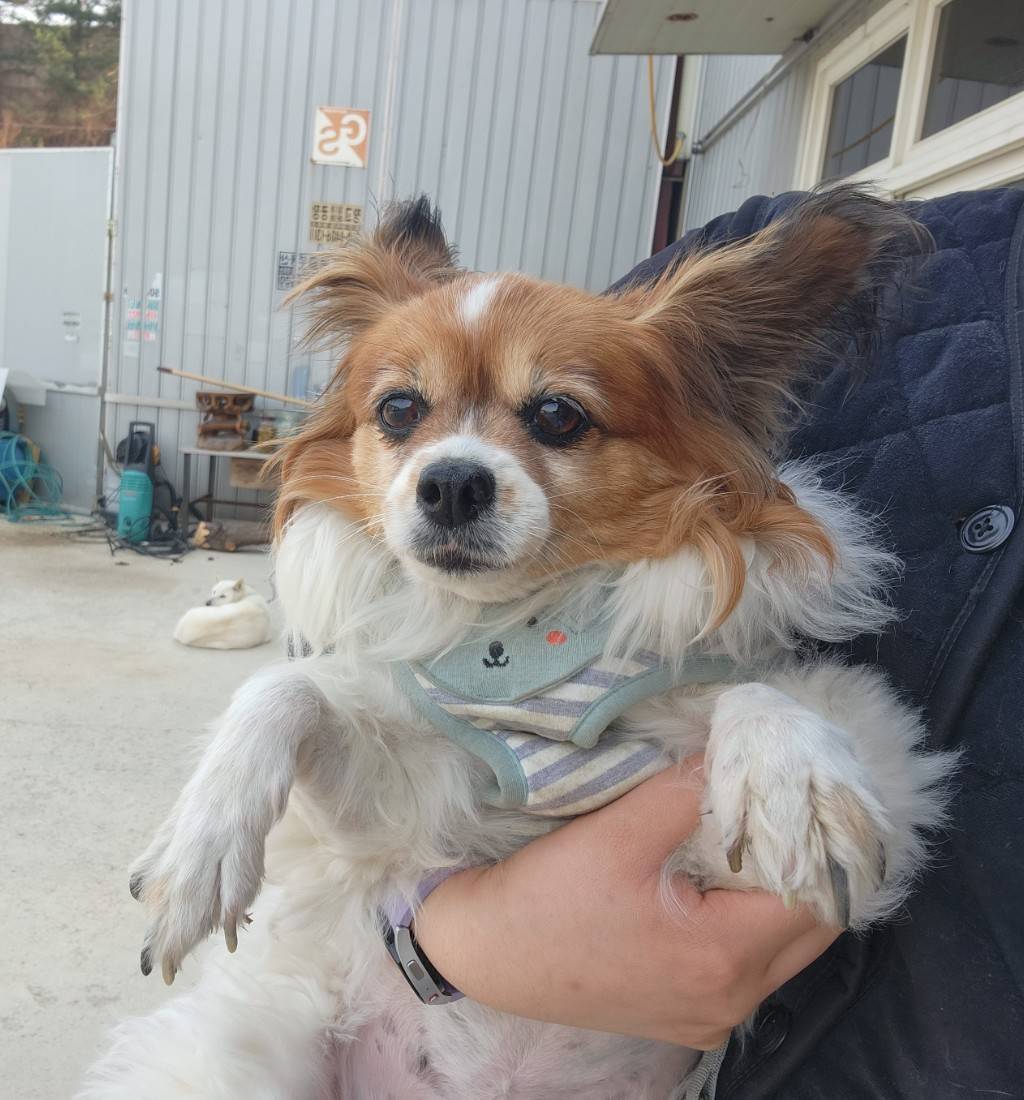 한국야생동물보호협회_441393202300200