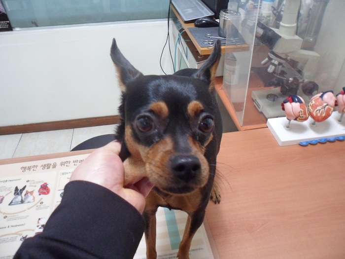 종료(반환) 미니어…