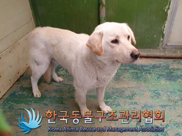 종료(안락사) 믹스…