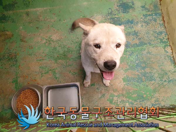종료(안락사) 믹스…