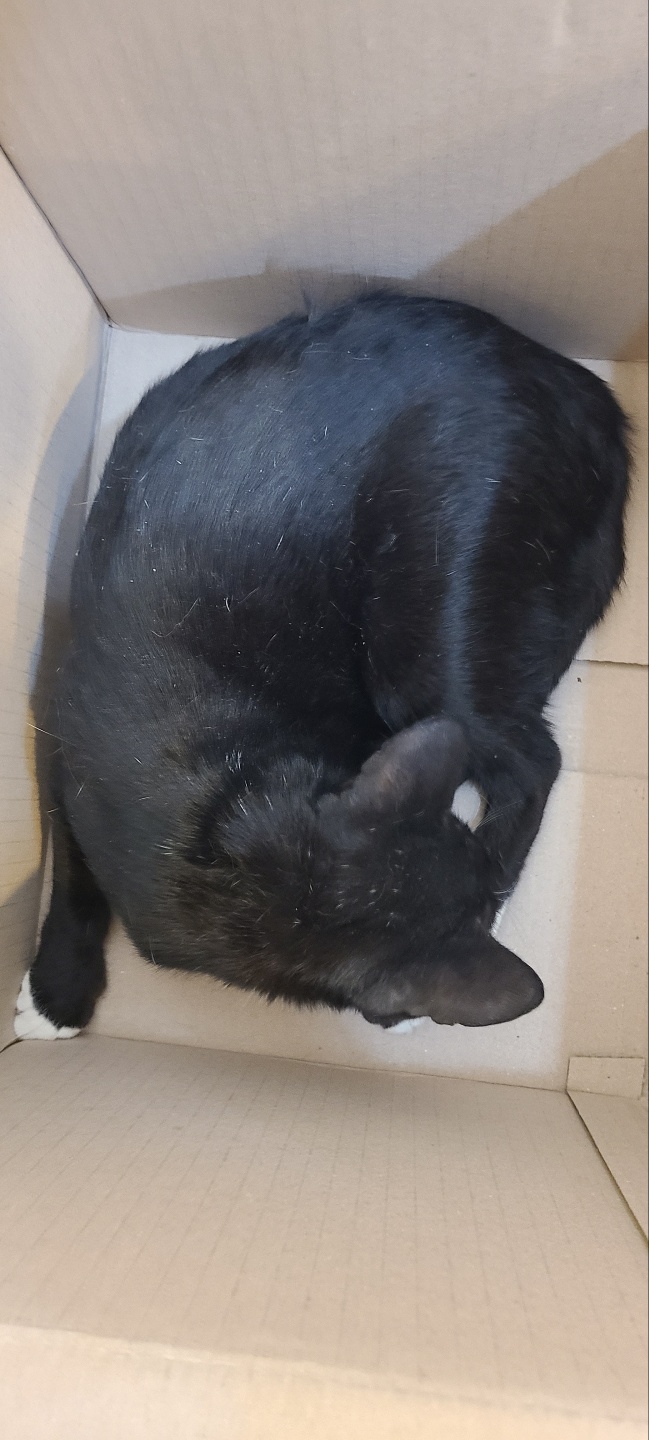 예스동물병원_427346202300109