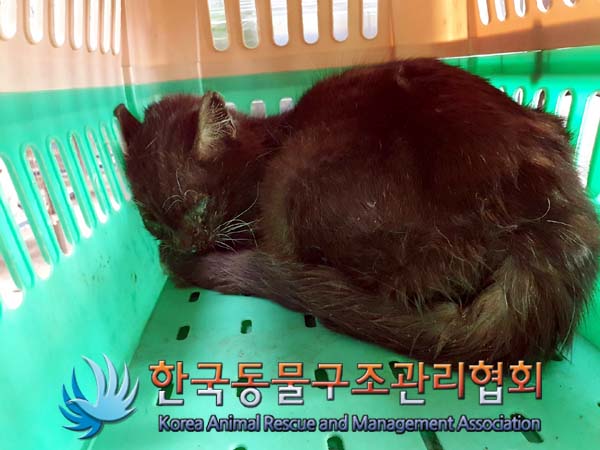 종료(자연사) 한국…