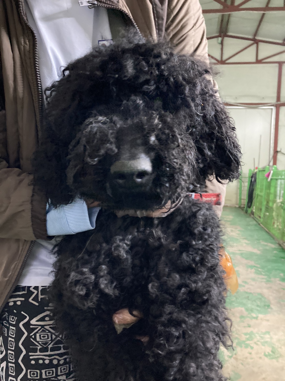 인천광역시수의사회_428353202300158