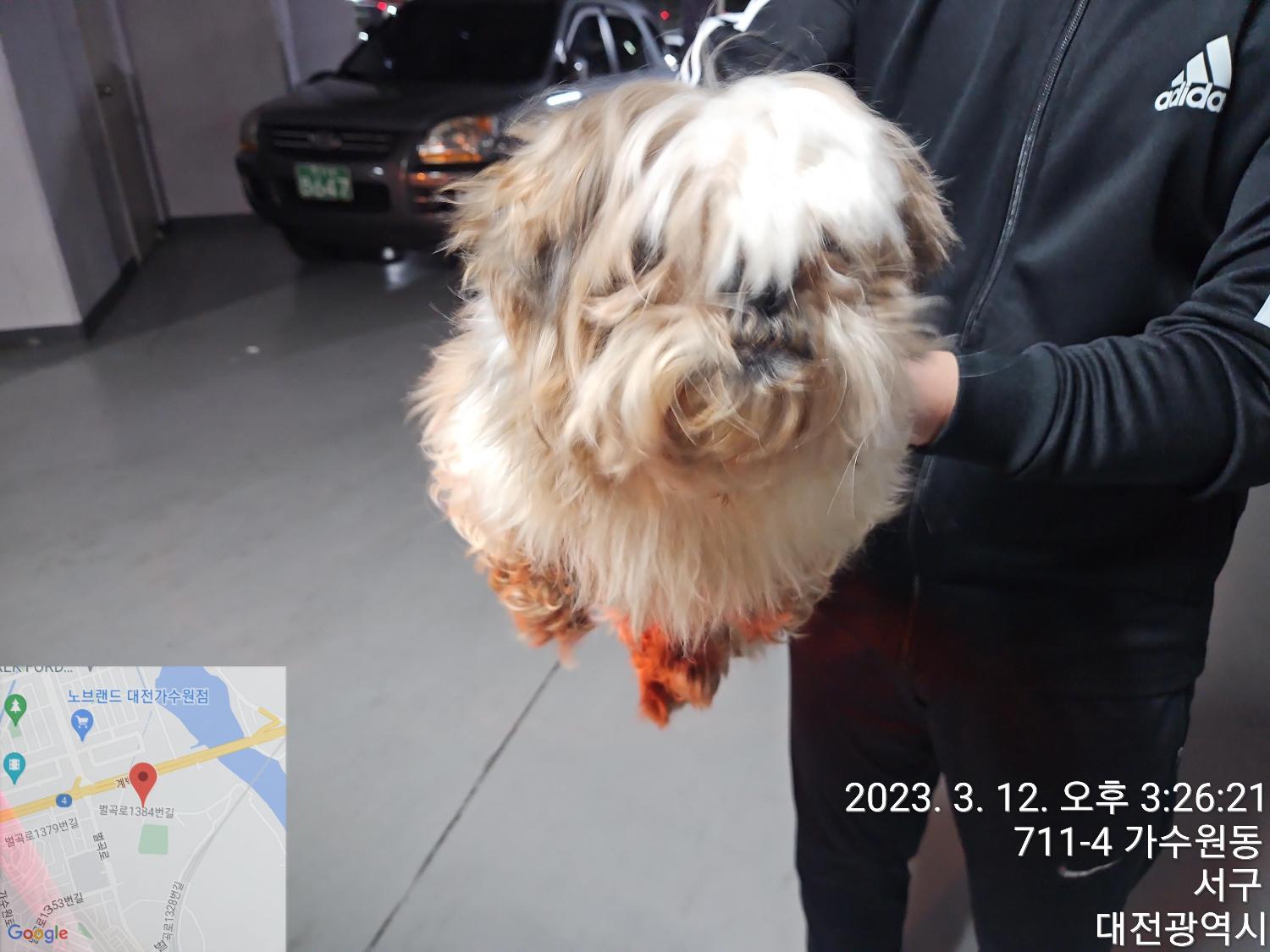 대전동물보호센터_430367202300058