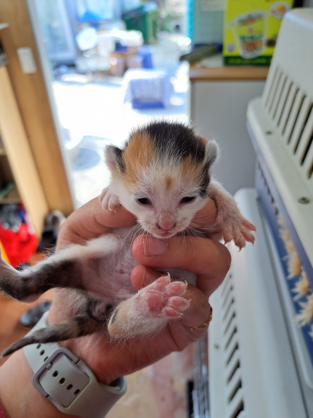 울산유기동물보호센터_431372202300058