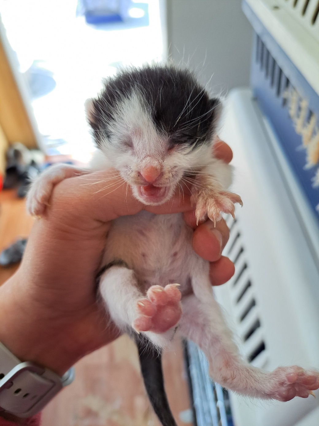 울산유기동물보호센터_431372202300057