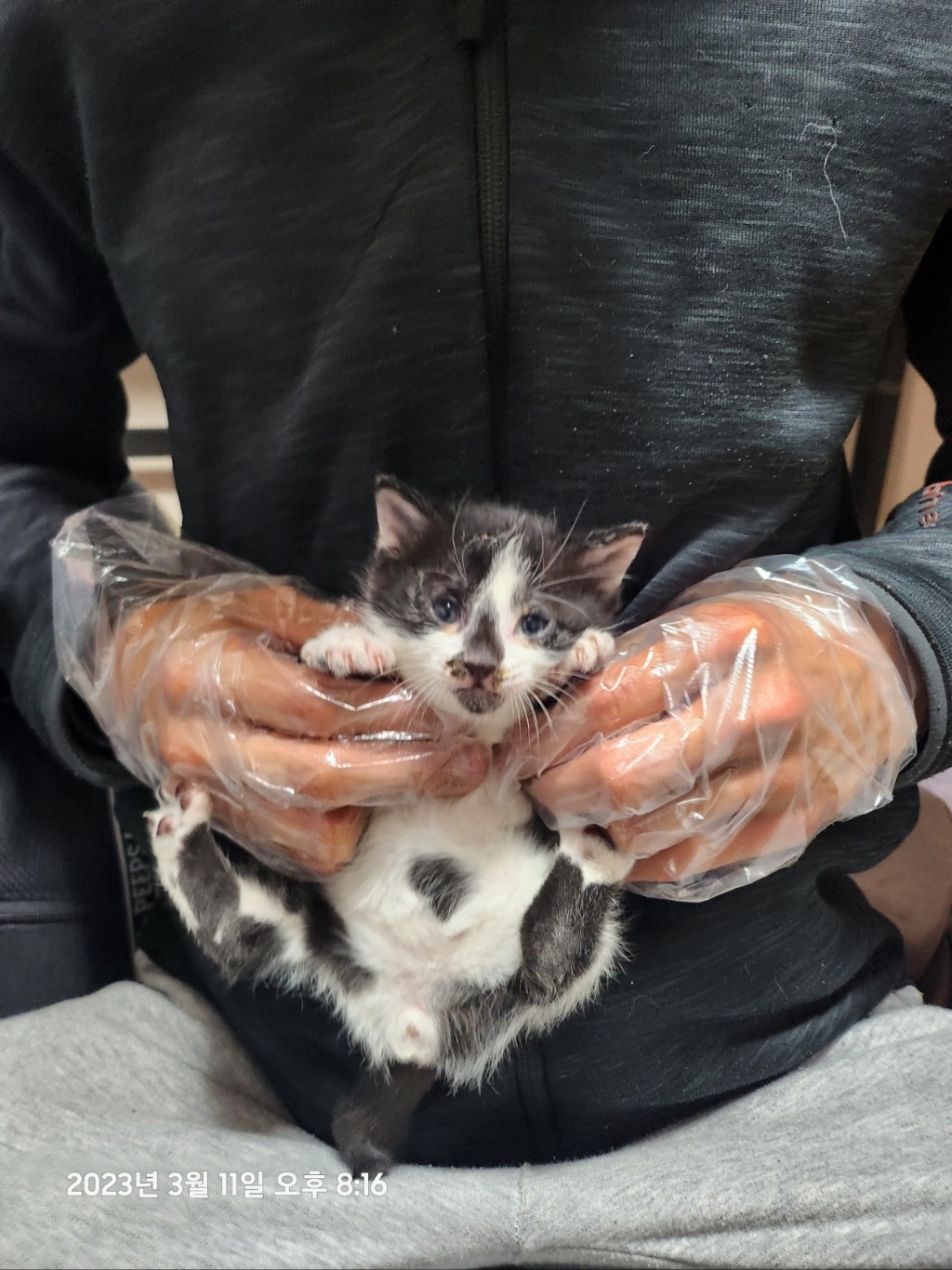 울산유기동물보호센터_431371202300102