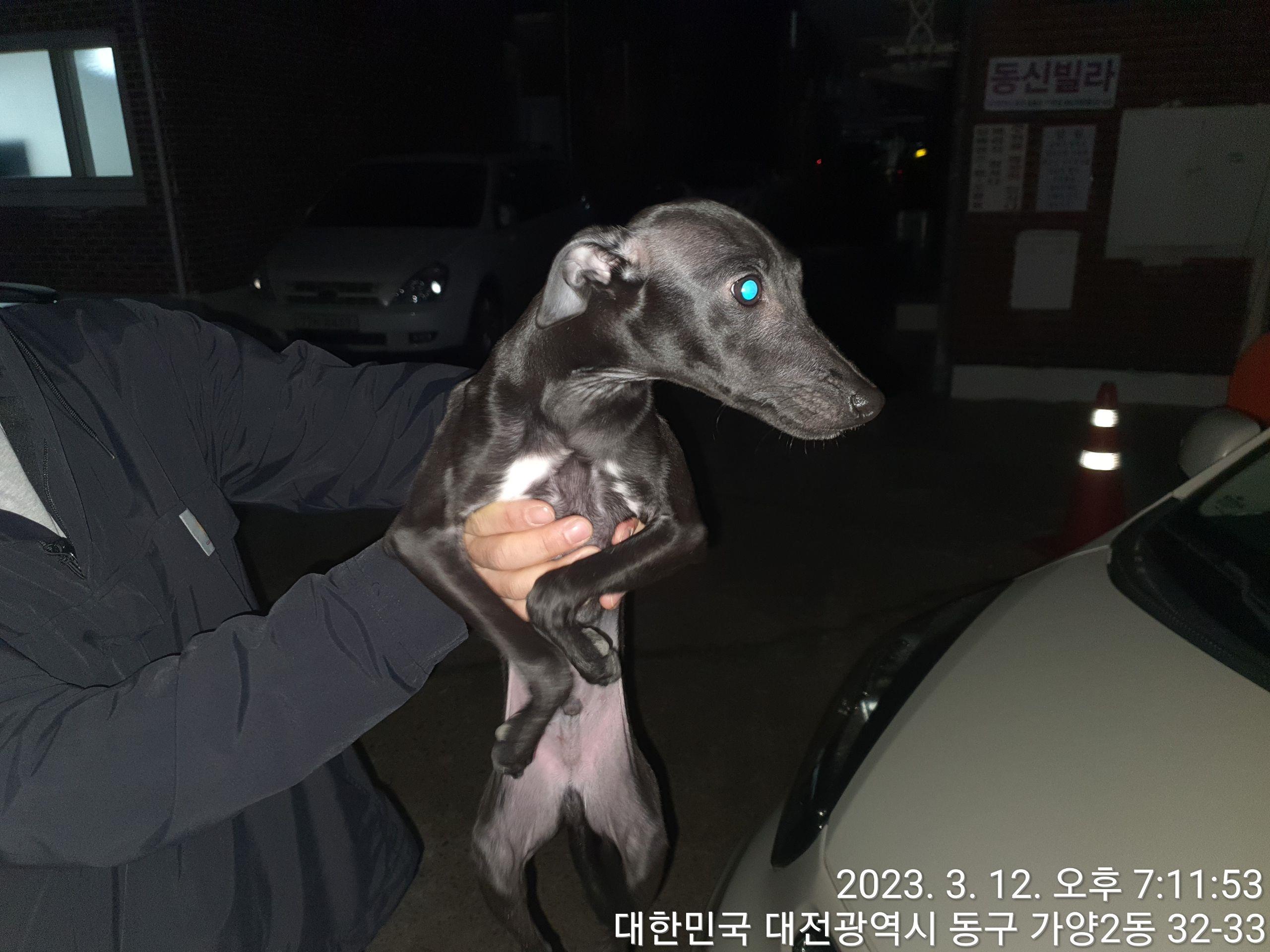 종료(반환) 이탈리…