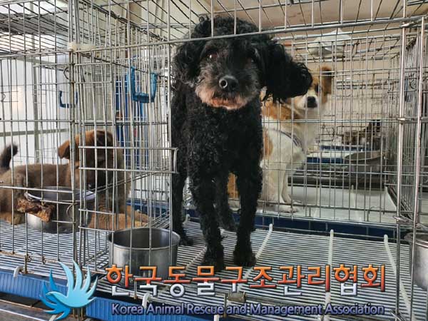 한국동물구조관리협회_411311202300086