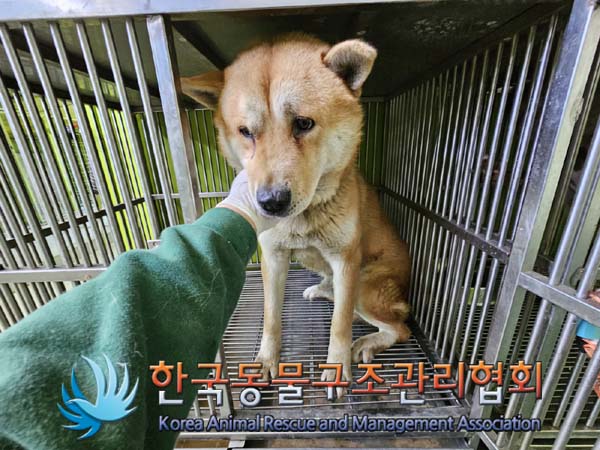 한국동물구조관리협회_441409202300292